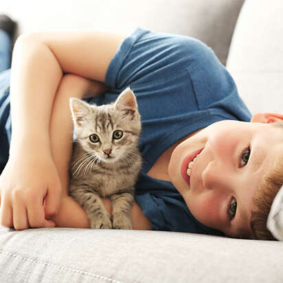 themenwelt bubblenavi katzenfutter 412x412